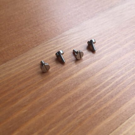 Stainless steel screws